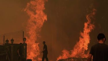 Incêndios têm assolado distrito de Aveiro