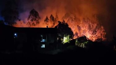 Chamas lavram com intensidade em Foz do Sousa, Gondomar