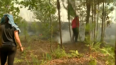 "Andamos de fogo em fogo": Civis combatem as chamas em Mangualde 