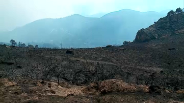 Alto de São Macário: Uma paisagem que já foi verde está agora completamente negra