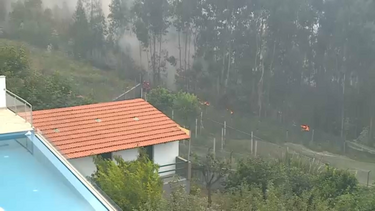 Operacionais tentam travar chamas em Sever do Vouga. Fogo ameaça casa