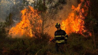 PJ detém mulher de 70 anos suspeita de fogo florestal em Resende