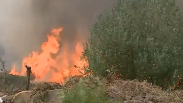 Proteção Civil prevê combate "complexo" contra incêndios no próximo dia