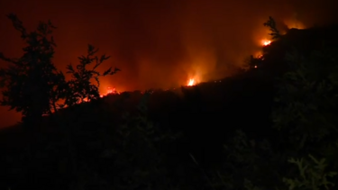 Fogo em Castro Daire: Chamas alastram-se à Serra de Montemuro