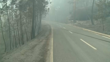 Cabos elétricos ardidos e espalhados pela estrada em Castro Daire