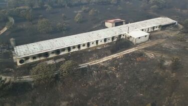 Imagens de drone mostram aviário destruído pelas chamas em Castro Daire. 20 mil pintos morreram