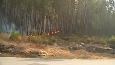 Vídeo mostra aviões canadair a realizar descargas num fogo que lavra em Vila Meã