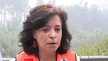 "A ministra tinha o telemóvel desligado": autarca de Arouca lamenta falta de apoio na primeira noite dos incêndios