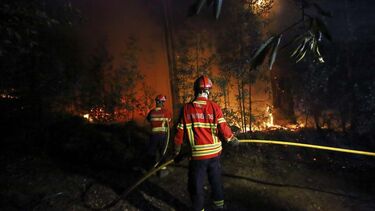 Incêndios em Sever do Vouga deflagraram no domingo à noite