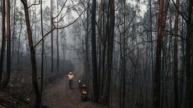 Incêndios em Sever do Vouga deflagraram no domingo à noite