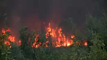 Governo decreta dia de luto nacional para amanhã pelas vítimas dos incêndios