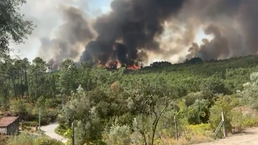 Castro Daire em chamas