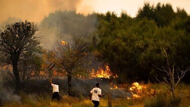 Incêndios em Vila Pouca de Aguiar
