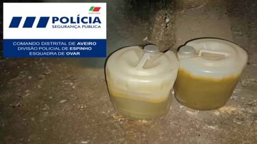 PSP apreende bidões com combustível dissimulados entre ervas junto a zona florestal em Ovar