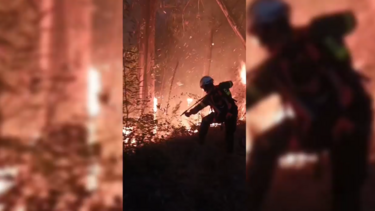 Exército divulga imagens impressionantes de militares no combate aos incêndios