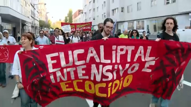 Protestos em várias cidades contra falta de mediação nos incêndios