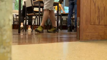 Estado exige 350 mil euros a ex-docente sem curso