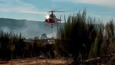 Homem ateou seis fogos em Celorico da Beira por gostar de ver a atuação dos bombeiros. Foi detido