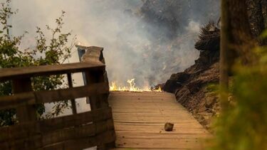 Parte do troço dos Passadiços do Paiva arde durante o incêndio 