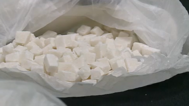 PJ desmantela rede de laboratórios de cocaína. Apreendidos 830 kg de pasta de ‘coca’ avaliados em 25 milhões de euros