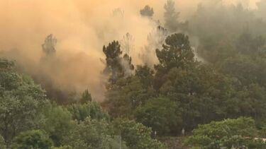 Homem detido por atear um incêndio em Baião