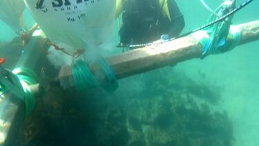 Dois canhões de bronze do século XVI resgatados do fundo do mar em Esposende