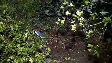 Homem encontrado morto com parte do corpo queimado dentro de viatura em Coimbra