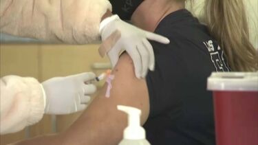 Especialistas e doentes apelam à inclusão da vacina contra a zona no programa de vacinação