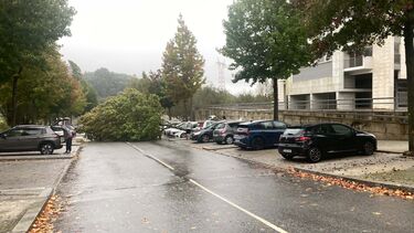 Vídeo sem título - Feito com Clipchamp (3).mp4