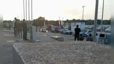 Visita a stand torna-se numa história de horror: Mulher fica desfigurada após ataque de três pastores-alemães