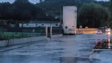 Proteção Civil registou 496 ocorrências até às 10h00 devido ao mau tempo