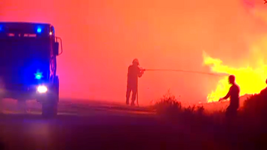 Governo aprova medidas de apoio aos afetados pelos incêndios