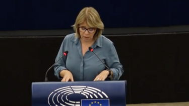 BE funda novo partido europeu "para defender as grandes causas da esquerda"