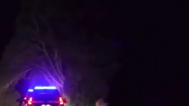 Português que matou sogra à machadada em Maiorca já esteve preso por agressões a polícias