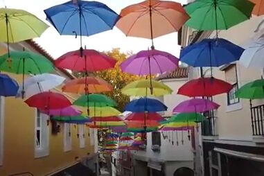 ‘Chafalos’ levam arte erótica às Caldas da Rainha   