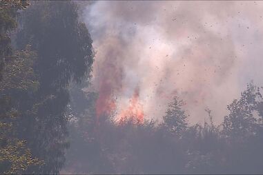 Incêndio em Fafe
