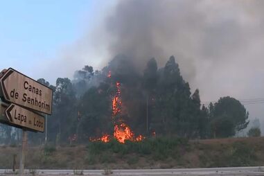 Incêndio em Nelas