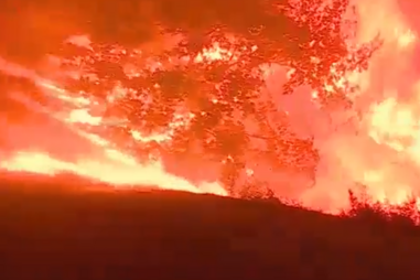 Imagens mostram cenário dantesco no Carregal do Sal: Chamas lavram com intensidade