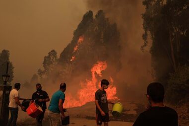 Câmara de Nelas com equipas no terreno para apoiar populações afetadas pelos incêndios