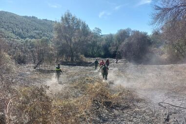 Forças Armadas reforçam meios nos incêndios