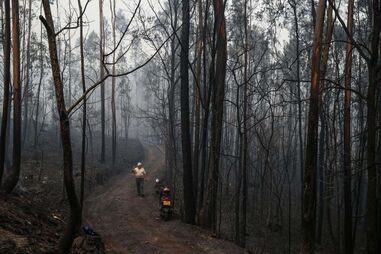 Incêndio em Sever de Vouga