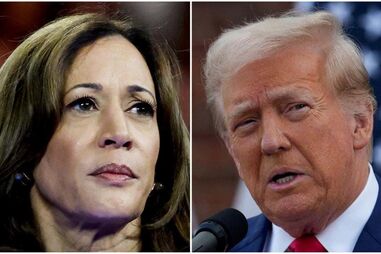 Kamala ou Trump