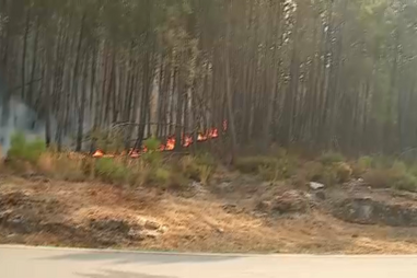 Vídeo mostra aviões canadair a realizar descargas num fogo que lavra em Vila Meã