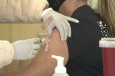 Especialistas e doentes apelam à inclusão da vacina contra a zona no programa de vacinação