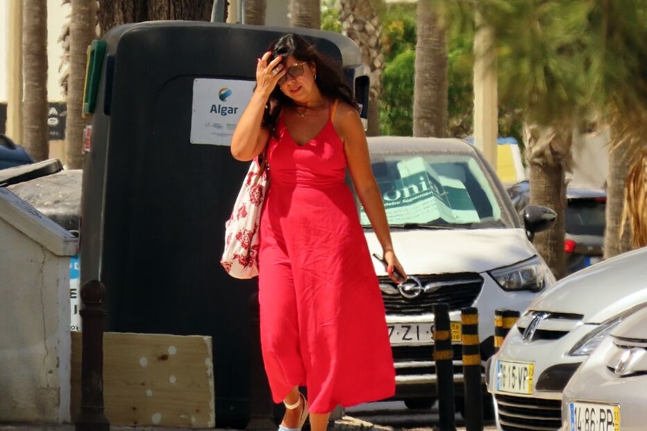 Inês Sousa Real visitou refúgio para animais em Loulé