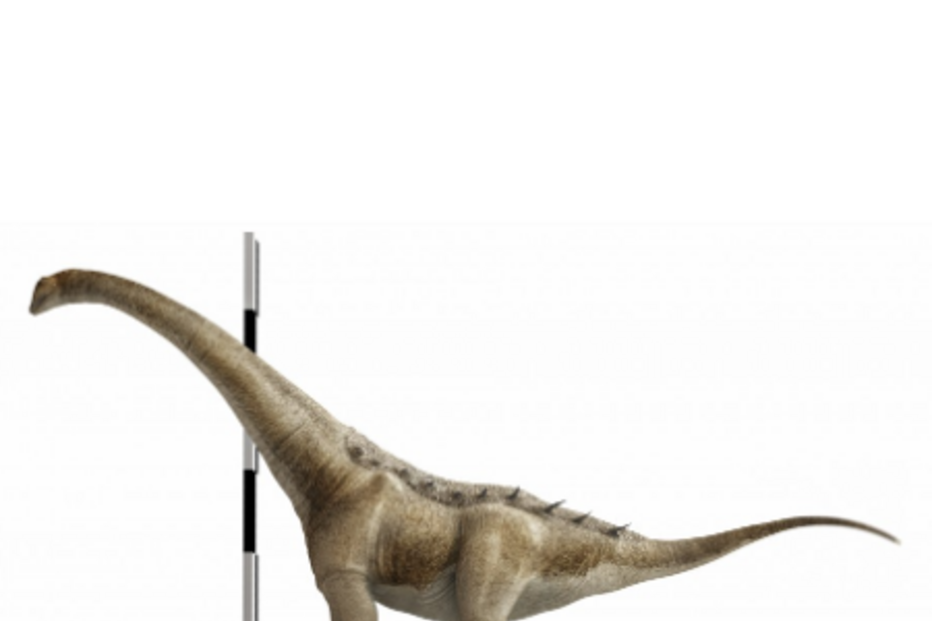 Espécie de dinossauro Qunkasaura pintiquiniestra