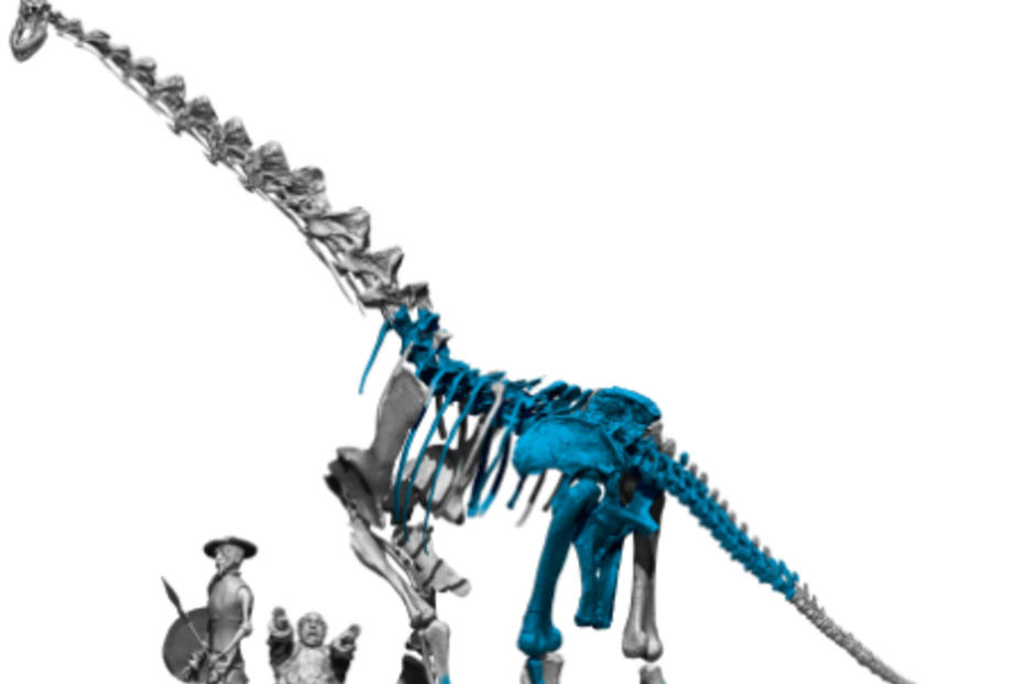 Espécie de dinossauro Qunkasaura pintiquiniestra