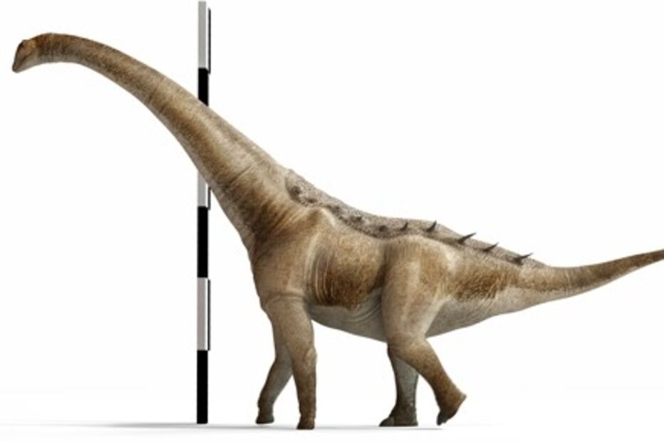 Imagem 52612082.jpg (22328544) (Milenium)