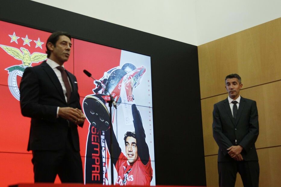 2024-09-05_19_28_48 55550.JPG