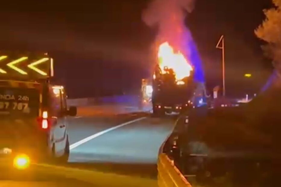Camião de transporte de lenha consumido pelas chamas em Águeda